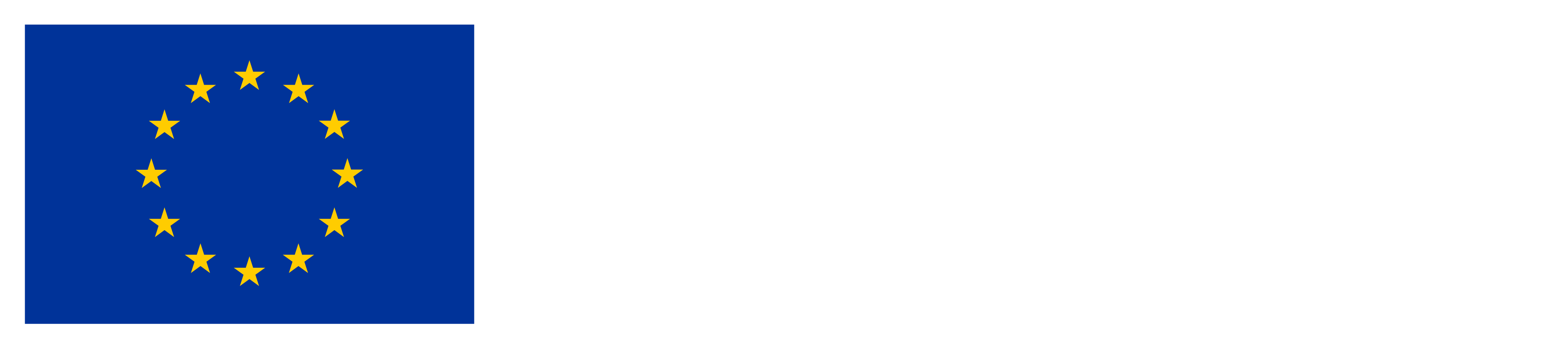 European Union flag with the text 
